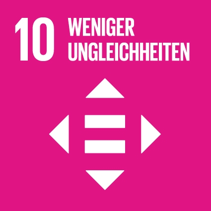 SDG Icon