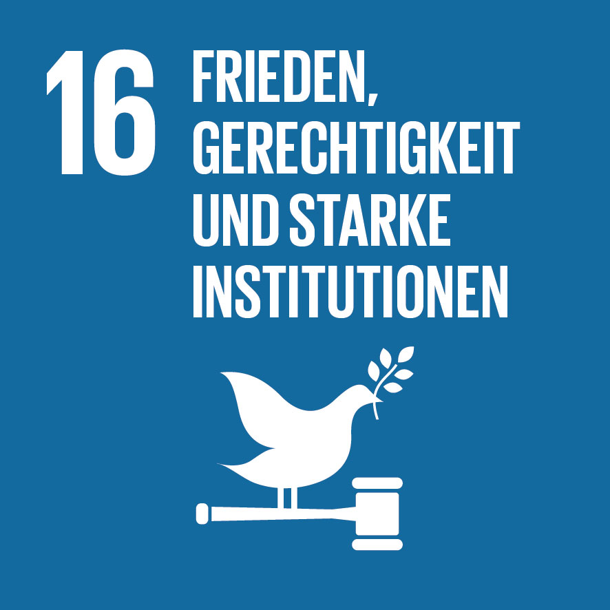 SDG Icon